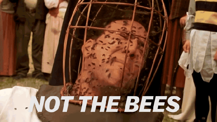 Nic-Cage-Not-the-bees.gif